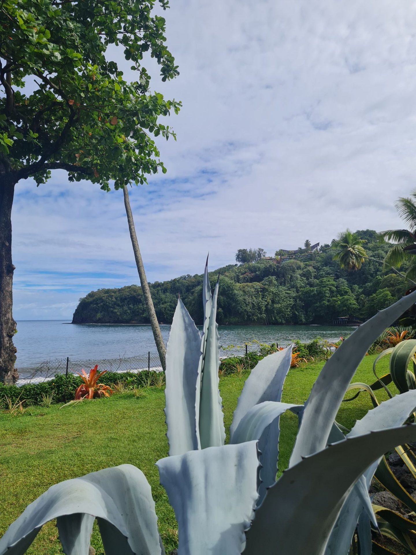 Baie tropicale et végétation luxuriante Baie tropicale et végétation luxuriante