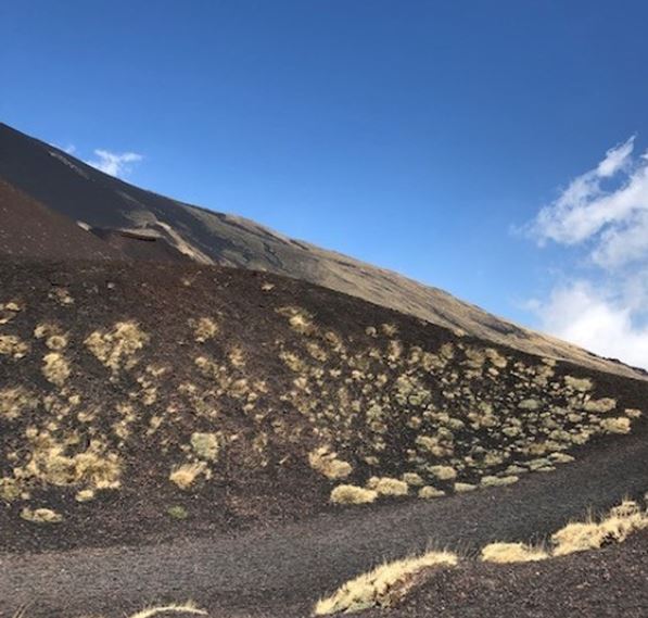 sicile etna msc croisiere