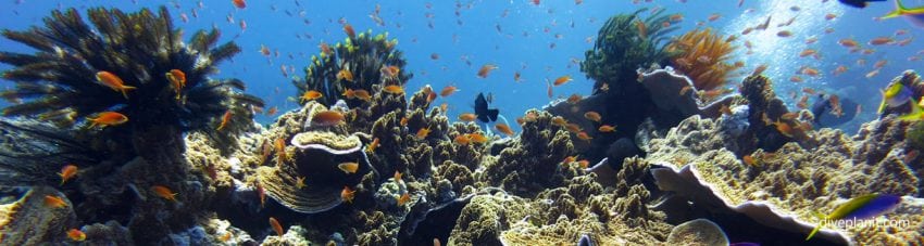 voyages plongée sous marine