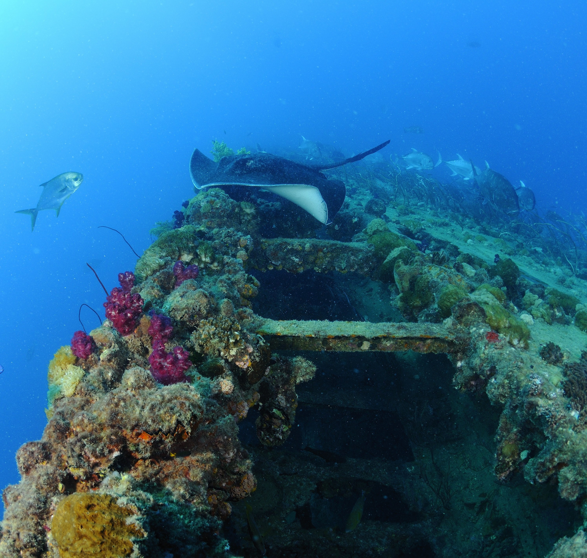 voyages plongée sous marine