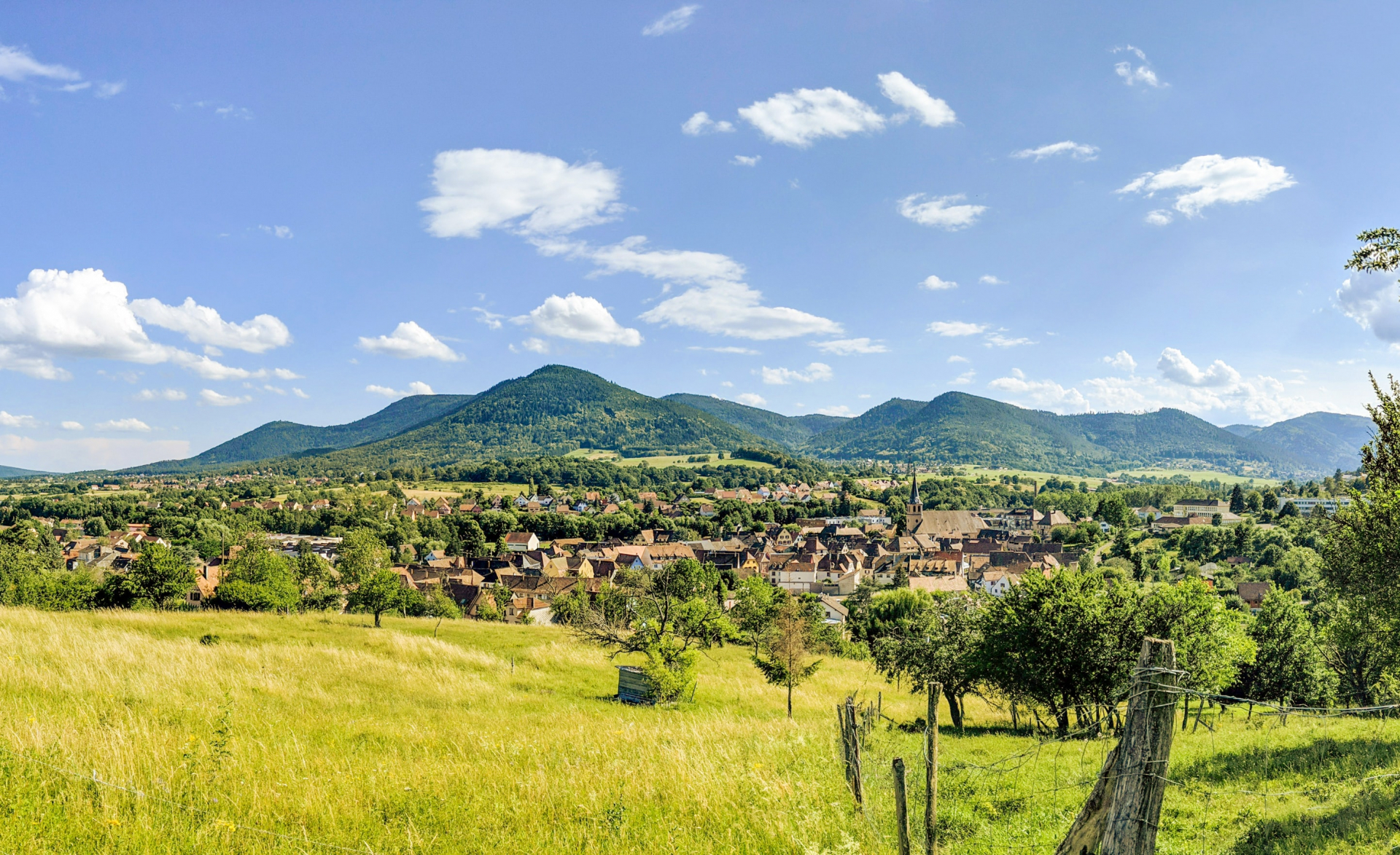 Route des vins- voyages en France-Alsace