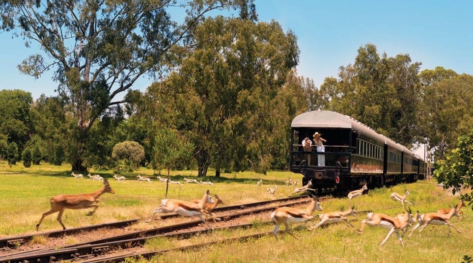 Pride of Africa- train de luxe - afrique du sud